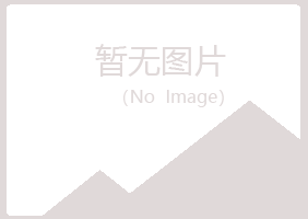 阳曲县夏青会计有限公司